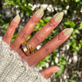 Sagey on customer hand