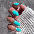 Parakeet on customer hand