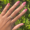 Primrose on customer hand