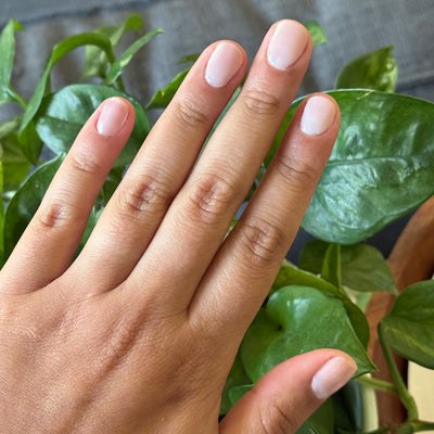 CCT - Gel on nails