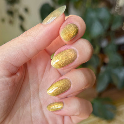 Golden Velvet - Gel on nails