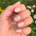 Point Dume on customer hand