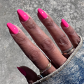 Flamingo on customer hand