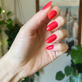 Fragola on customer hand
