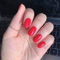 Hibiscus on customer hand