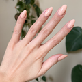 Silky on customer hand
